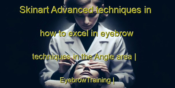 Skinart Advanced techniques in how to excel in eyebrow techniques in the Angle area | EyebrowTraining | EyebrowClasses | SkinartTraining-France